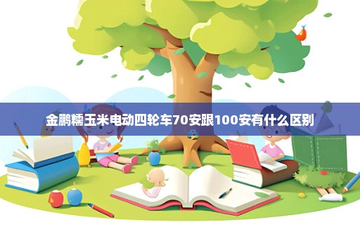 金鹏糯玉米电动四轮车70安跟100安有什么区别