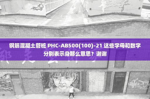 钢筋混凝土管桩 PHC-AB500(100)-21 这些字母和数字分别表示身那么意思？谢谢