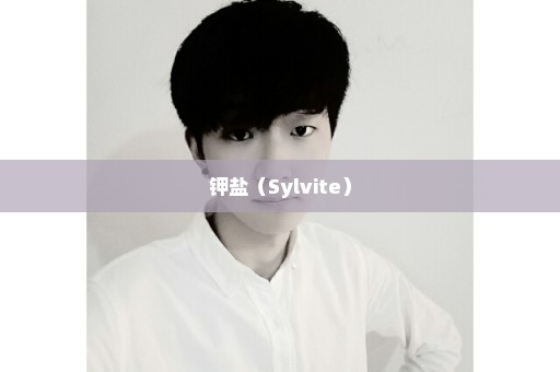 钾盐（Sylvite）