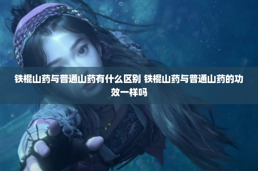 铁棍山药与普通山药有什么区别 铁棍山药与普通山药的功效一样吗