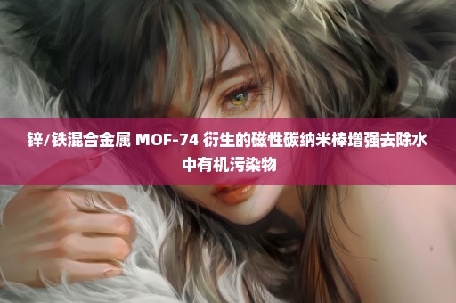 锌/铁混合金属 MOF-74 衍生的磁性碳纳米棒增强去除水中有机污染物