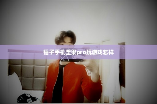 锤子手机坚果pro玩游戏怎样