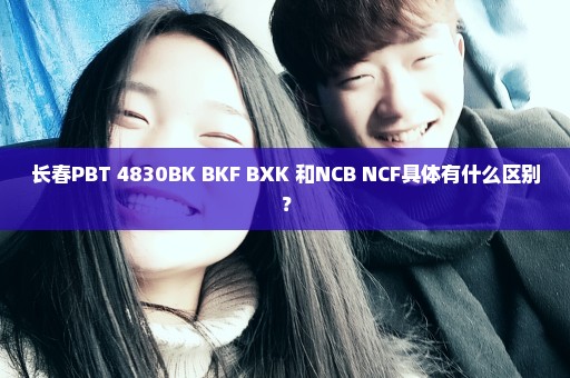 长春PBT 4830BK BKF BXK 和NCB NCF具体有什么区别？