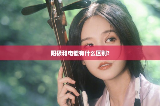 阳极和电镀有什么区别?