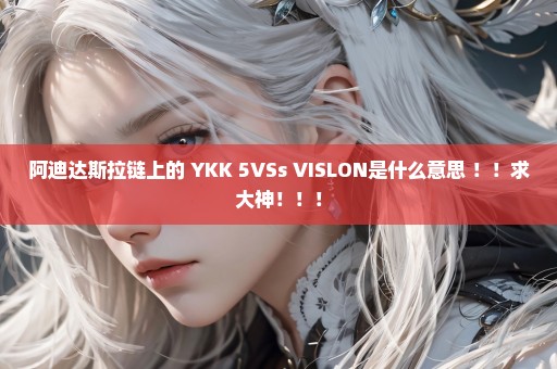 阿迪达斯拉链上的 YKK 5VSs VISLON是什么意思 ！！求大神！！！