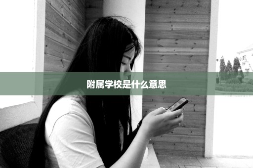 附属学校是什么意思