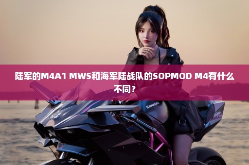 陆军的M4A1 MWS和海军陆战队的SOPMOD M4有什么不同？