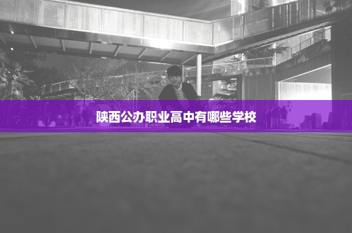 陕西公办职业高中有哪些学校