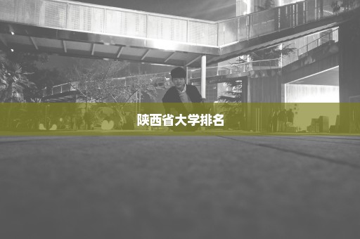 陕西省大学排名