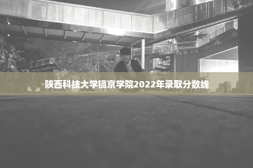 陕西科技大学镐京学院2022年录取分数线