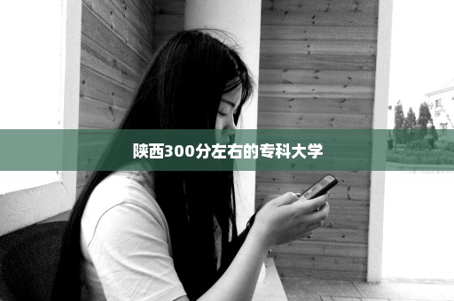 陕西300分左右的专科大学