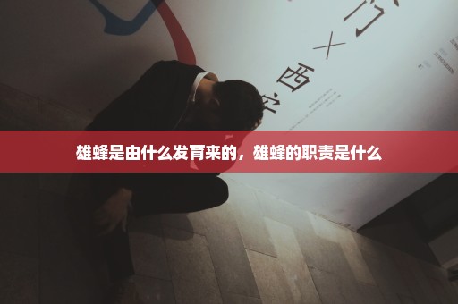 雄蜂是由什么发育来的，雄蜂的职责是什么