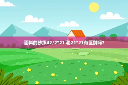 面料的纱织42/2*21 和21*21有区别吗？