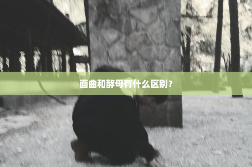 面曲和酵母有什么区别？