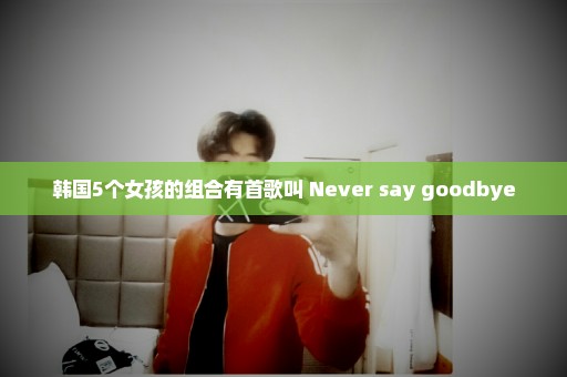 韩国5个女孩的组合有首歌叫 Never say goodbye