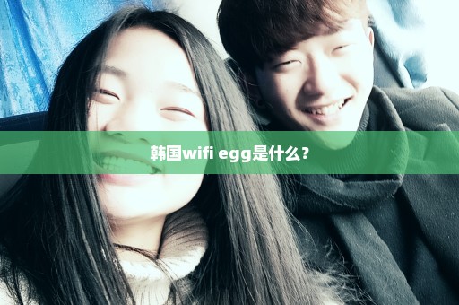 韩国wifi egg是什么？