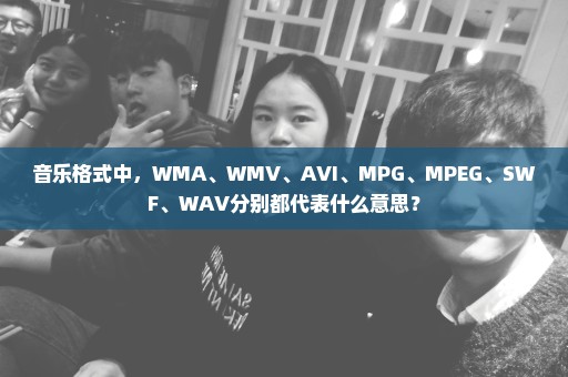 音乐格式中，WMA、WMV、AVI、MPG、MPEG、SWF、WAV分别都代表什么意思？