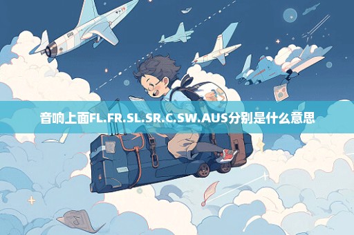 音响上面FL.FR.SL.SR.C.SW.AUS分别是什么意思