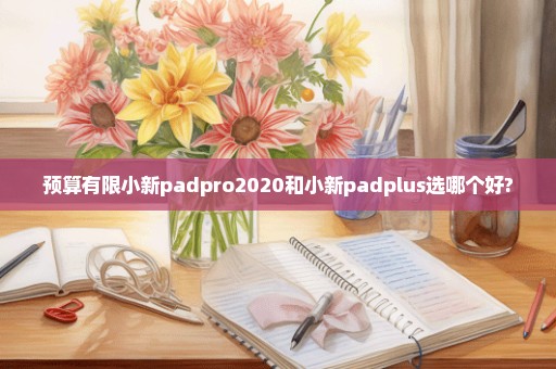 预算有限小新padpro2020和小新padplus选哪个好?