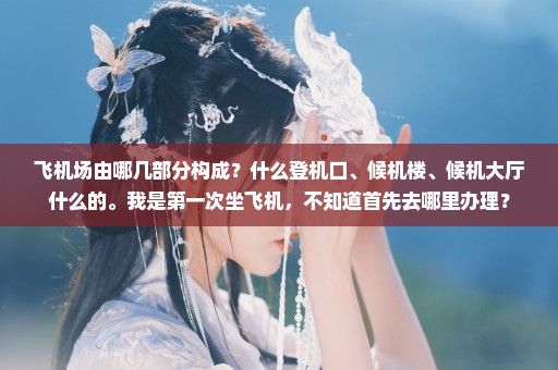 飞机场由哪几部分构成？什么登机口、候机楼、候机大厅什么的。我是第一次坐飞机，不知道首先去哪里办理？