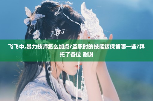 飞飞中,暴力技师怎么加点?圣职时的技能该保留哪一些?拜托了各位 谢谢