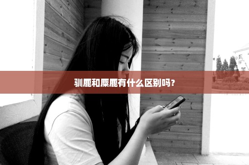 驯鹿和麋鹿有什么区别吗？