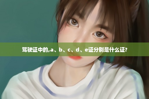 驾驶证中的,a、b、c、d、e证分别是什么证?