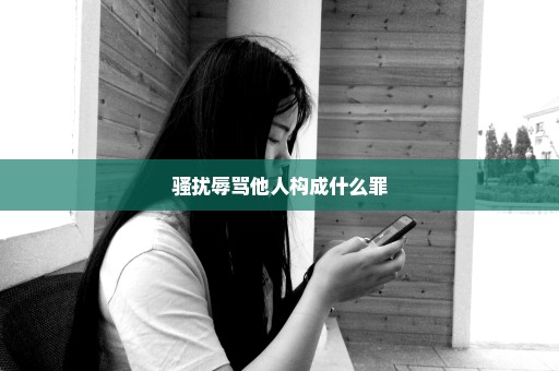 骚扰辱骂他人构成什么罪