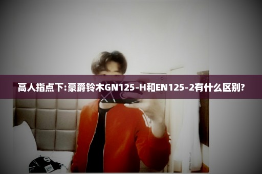 高人指点下:豪爵铃木GN125-H和EN125-2有什么区别?