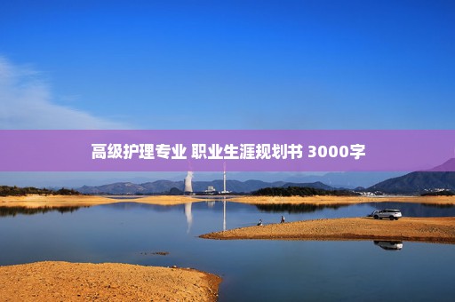 高级护理专业 职业生涯规划书 3000字