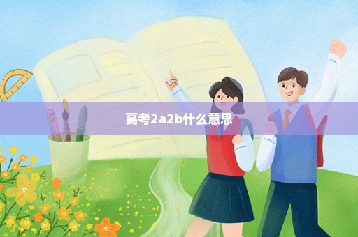 高考2a2b什么意思