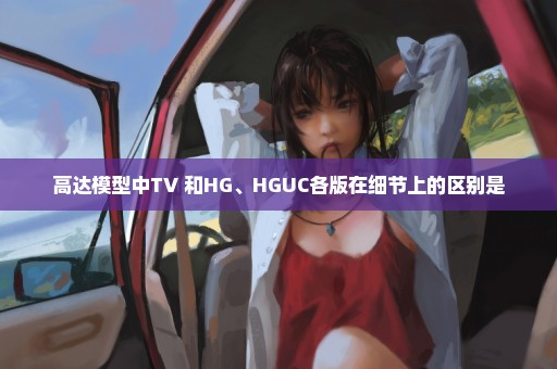 高达模型中TV 和HG、HGUC各版在细节上的区别是