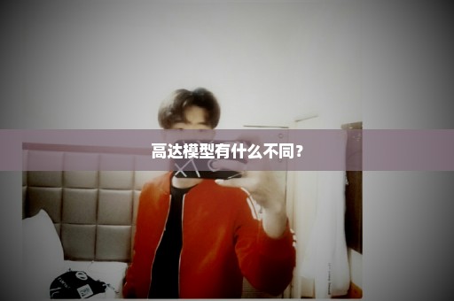 高达模型有什么不同？