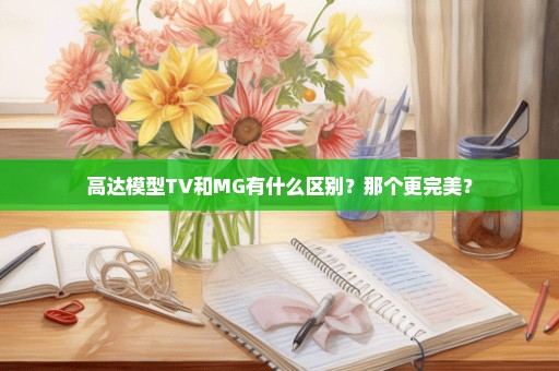 高达模型TV和MG有什么区别？那个更完美？