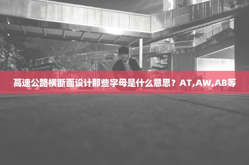 高速公路横断面设计那些字母是什么意思？AT,AW,AB等