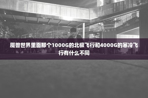 魔兽世界里面那个1000G的北极飞行和4000G的寒冷飞行有什么不同