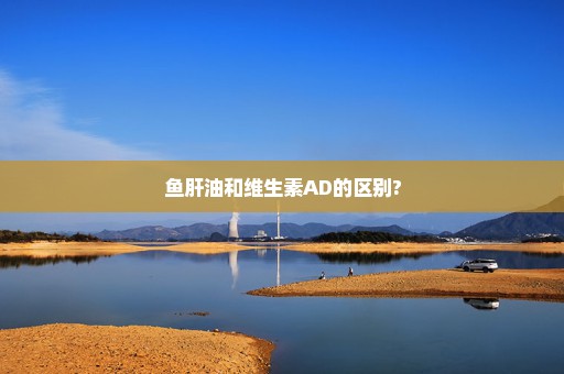 鱼肝油和维生素AD的区别?