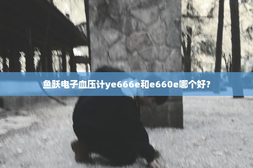 鱼跃电子血压计ye666e和e660e哪个好？