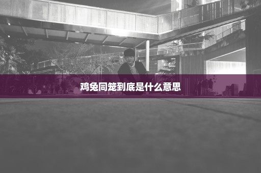 鸡兔同笼到底是什么意思