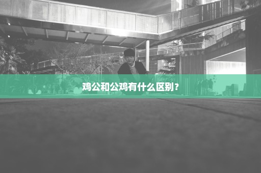 鸡公和公鸡有什么区别？