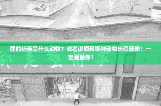 鹿的近亲是什么动物？或者说鹿和哪种动物长得最像！一定是最像！