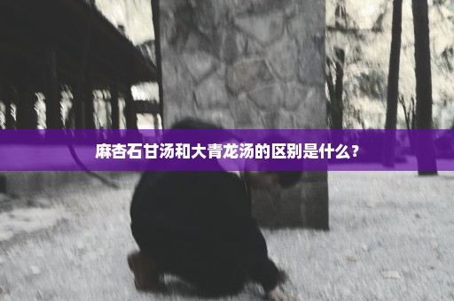 麻杏石甘汤和大青龙汤的区别是什么？