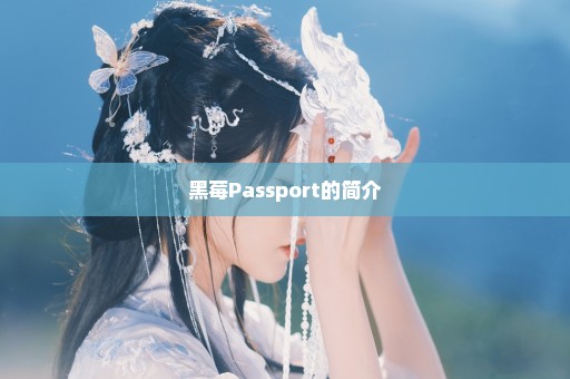 黑莓Passport的简介