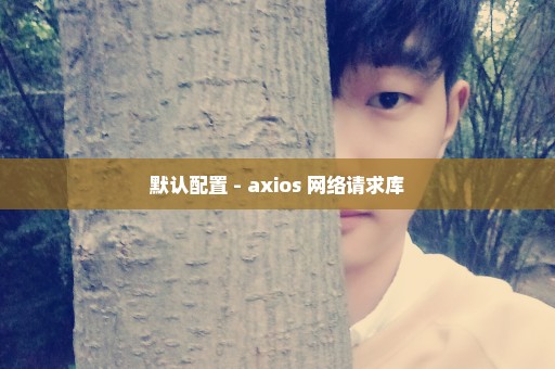 默认配置 - axios 网络请求库