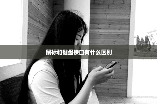 鼠标和键盘接口有什么区别