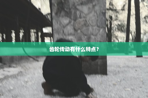 齿轮传动有什么特点？