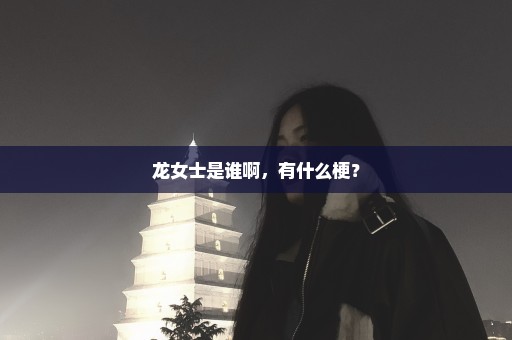 龙女士是谁啊，有什么梗？