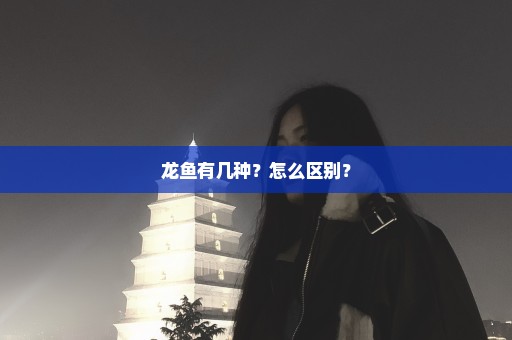 龙鱼有几种？怎么区别？