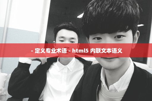  - 定义专业术语 - html5 内联文本语义