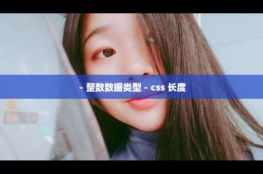  - 整数数据类型 - css 长度